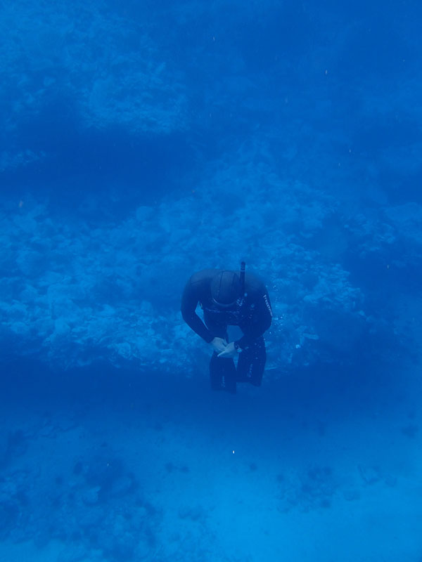 Diver on the seabed of Tenerife.