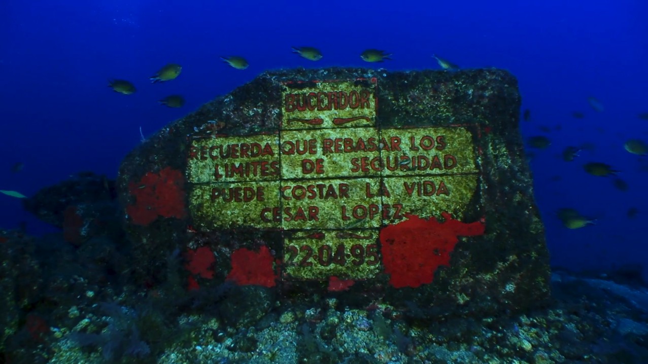 El Muelle - Radazul 
