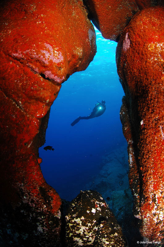 Diver in waters between rock formations in Tenerife.