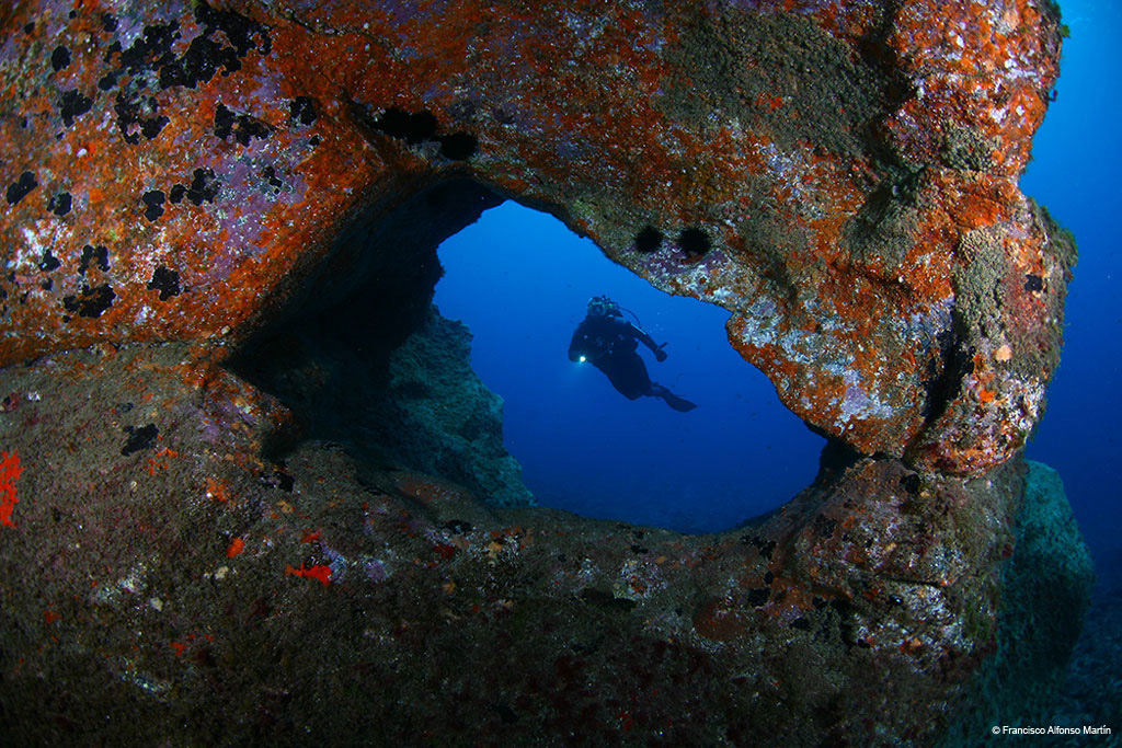 Diver exploring underwater rocky arc in Tenerife.