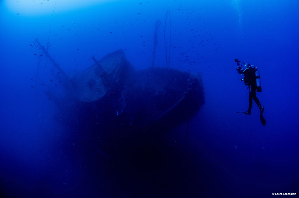 Diver investigating a shipwreck submerged off the coast of Tenerife.