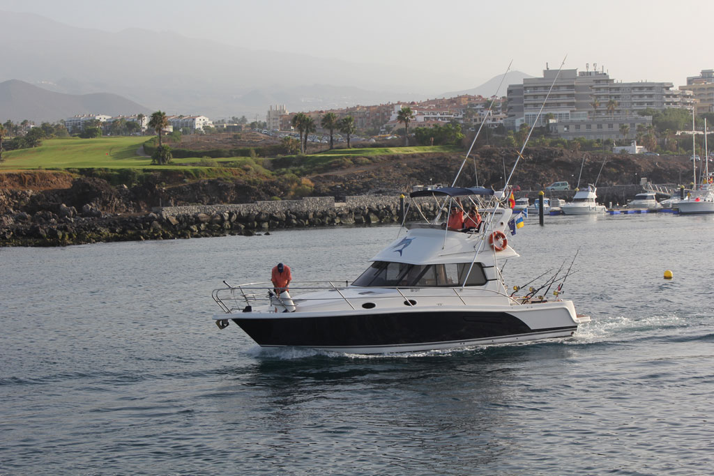 Fishing boat sailing close to the coast in Tenerife with palm trees and buildings in the background.