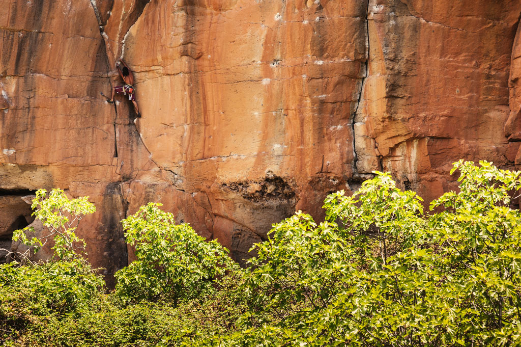 Climber climbing an orange rock wall near vegetation in Tenerife.