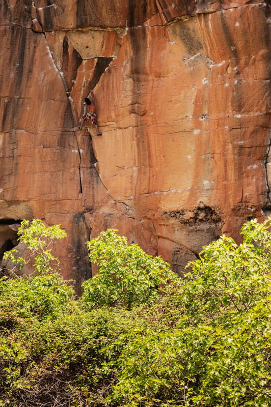 Climber climbing an orange rock wall in Tenerife, surrounded by green vegetation.