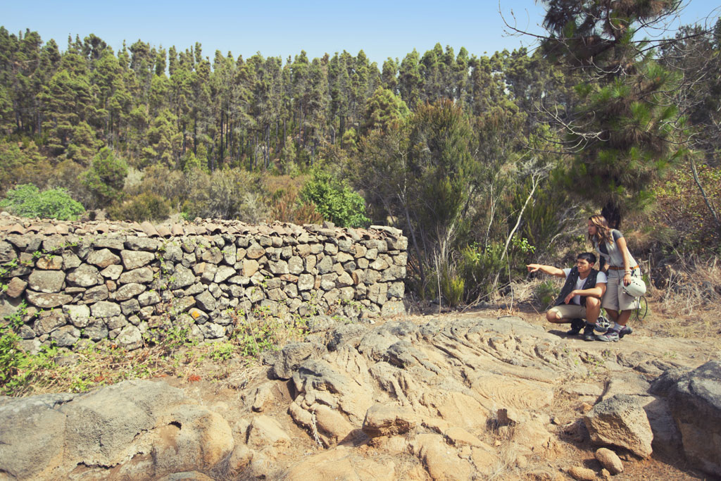 People watching a stone wall in a forest in Tenerife.