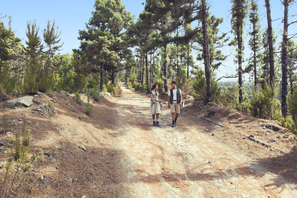 Couple walking along a path surrounded by pine trees in Tenerife.