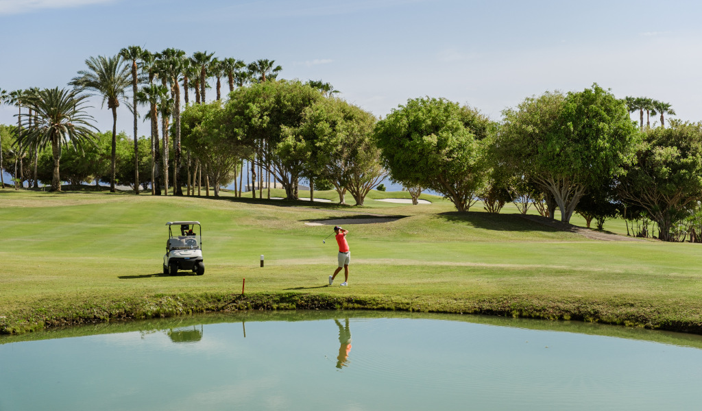 Person playing golf on a field with palm trees and cart in Tenerife.