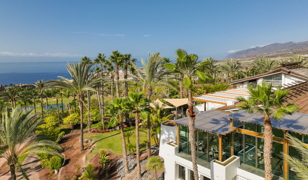 Facilities surrounded by palm trees overlooking the ocean in Tenerife.