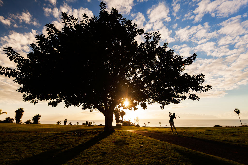 Person playing golf at sunset on a course in Tenerife.