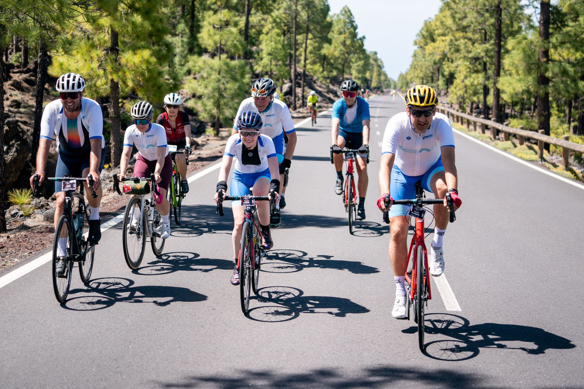 Cyclists on road surrounded by pine trees in Tenerife.