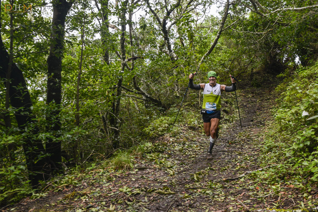 Runner with poles on Tenerife's wooded trail.