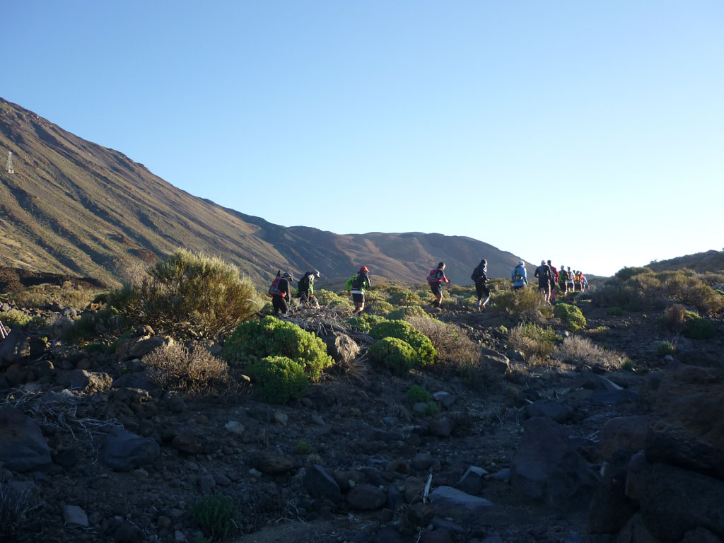 Group of people hiking in Teide National Park, Tenerife.