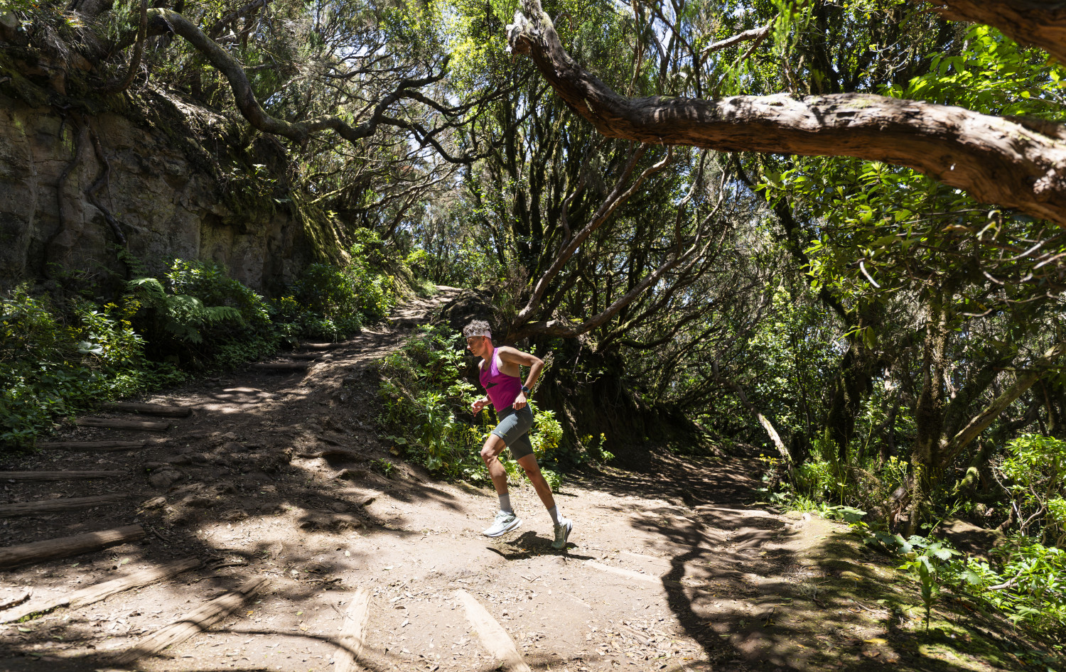 Runner advancing along a forest trail in Tenerife.