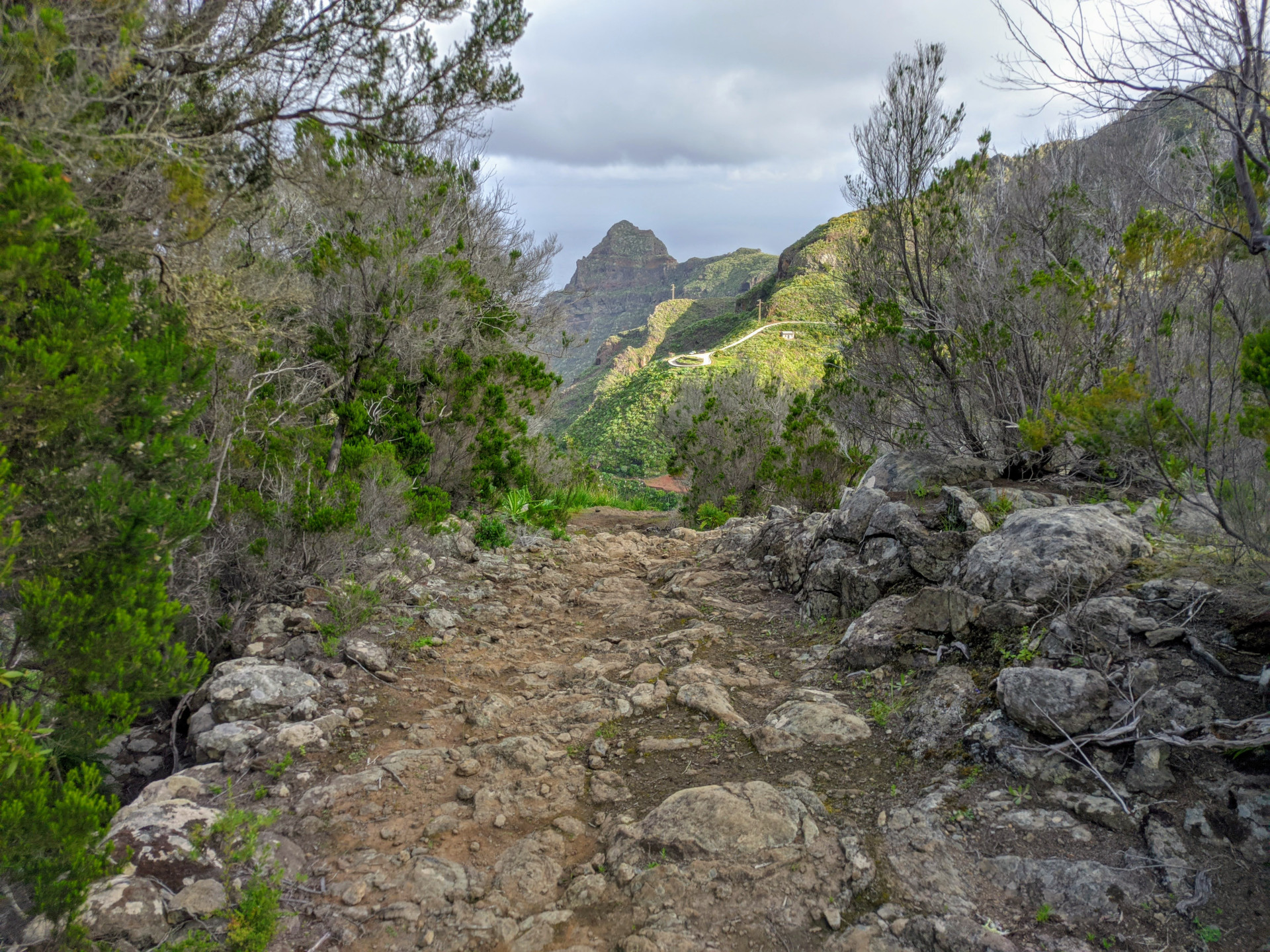 Rocky path among vegetation in the Anaga Rural Park, Tenerife.