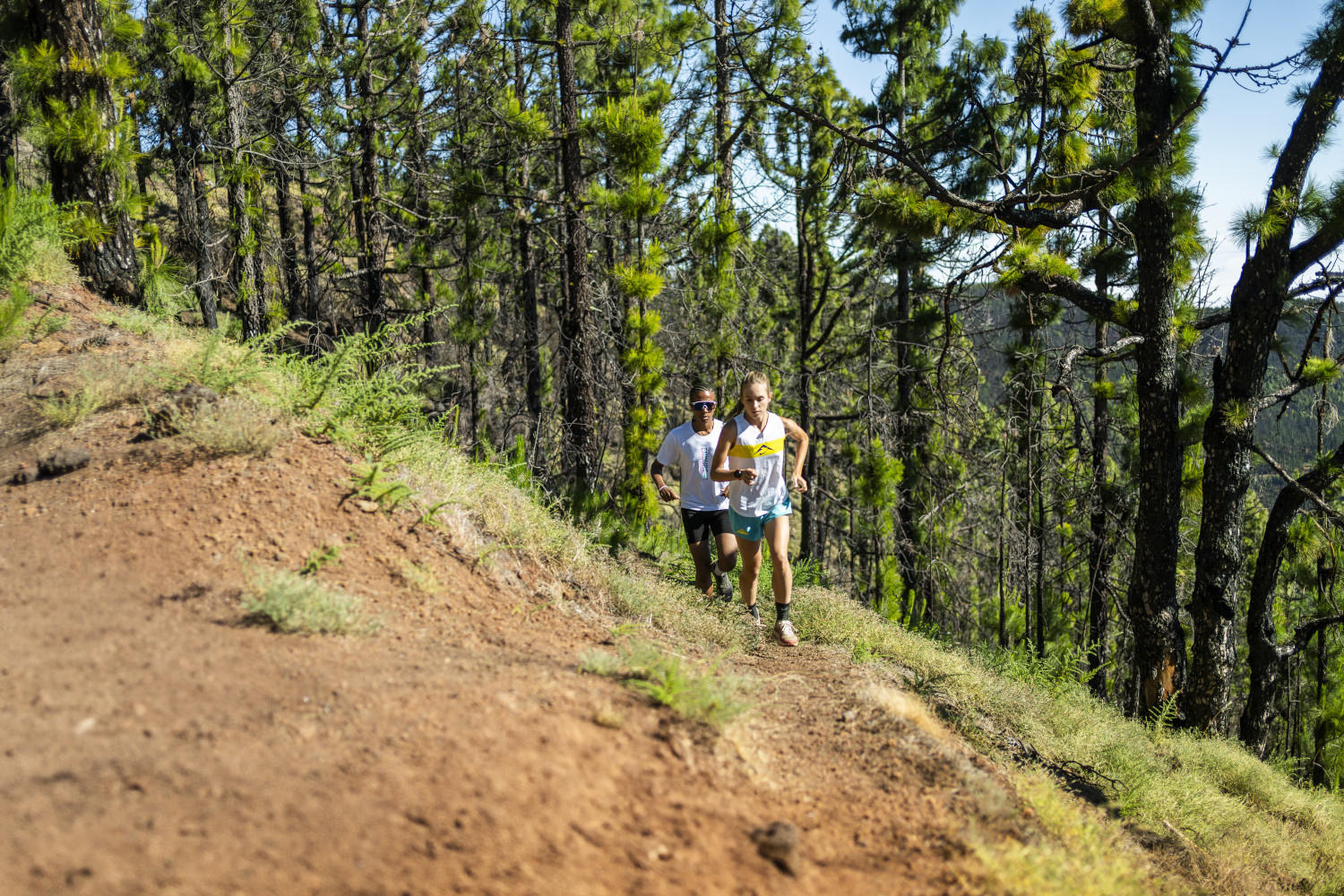 Two people running along a path in a forest in Tenerife.