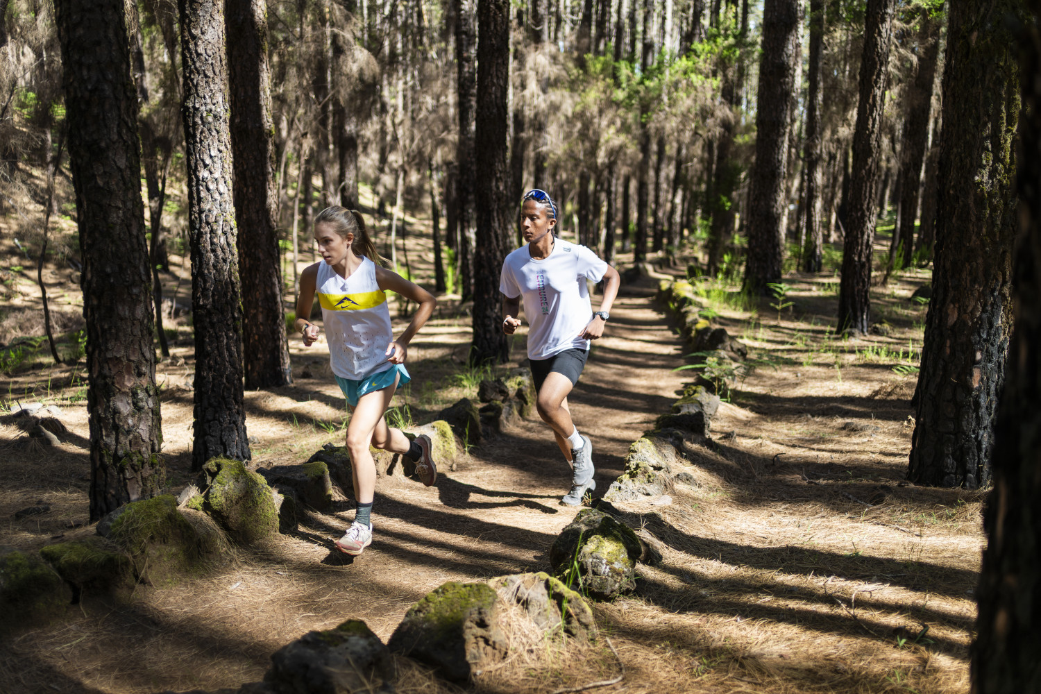 Runners in a forest in Tenerife, surrounded by tall trees.