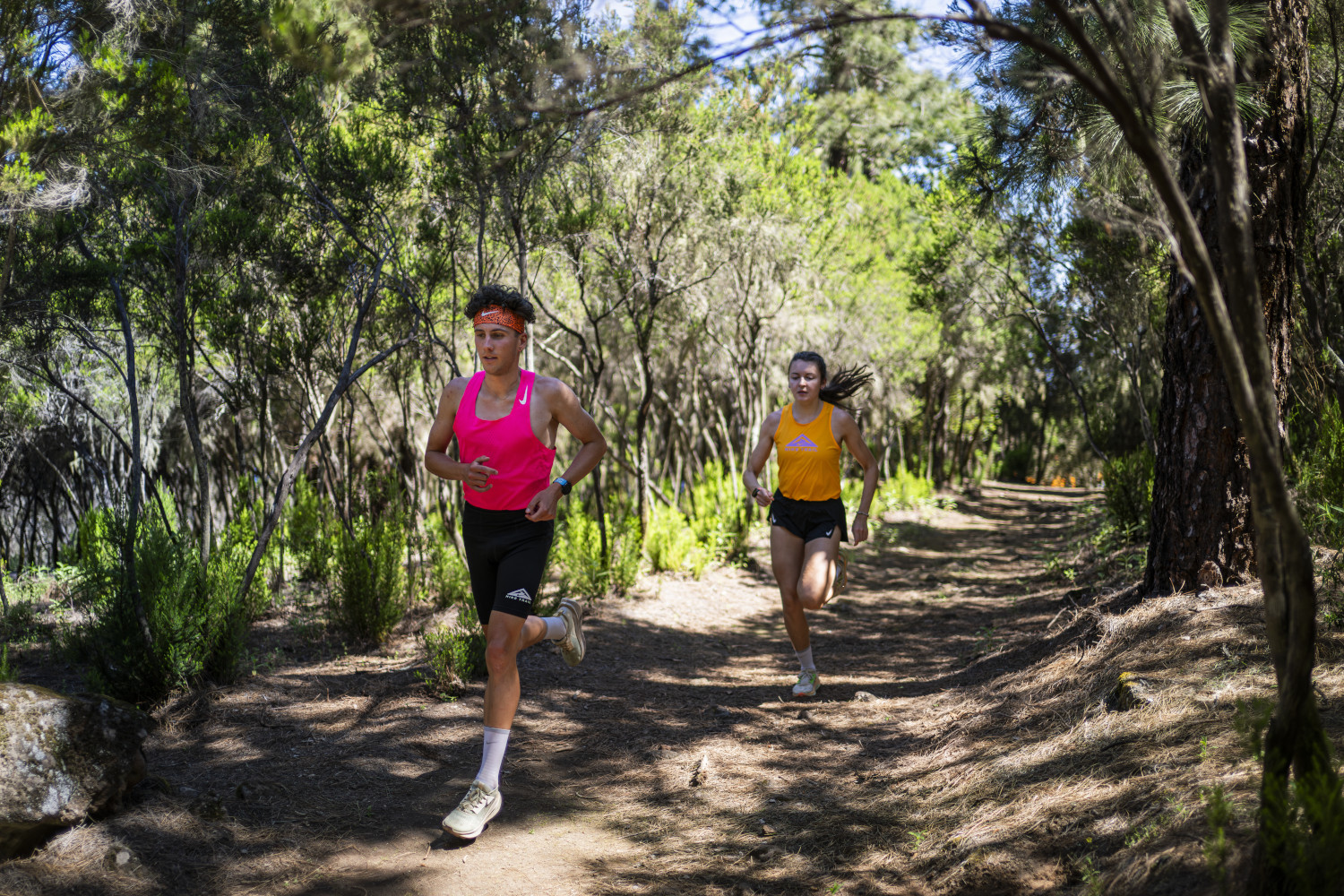 People running on a forest trail in Tenerife.