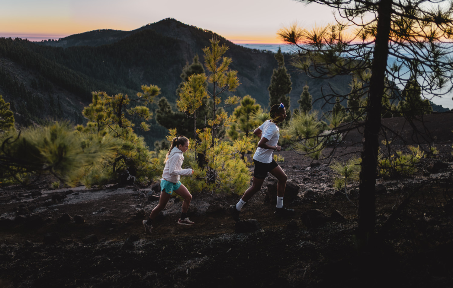 People running at dawn among pine trees on a path in Tenerife.