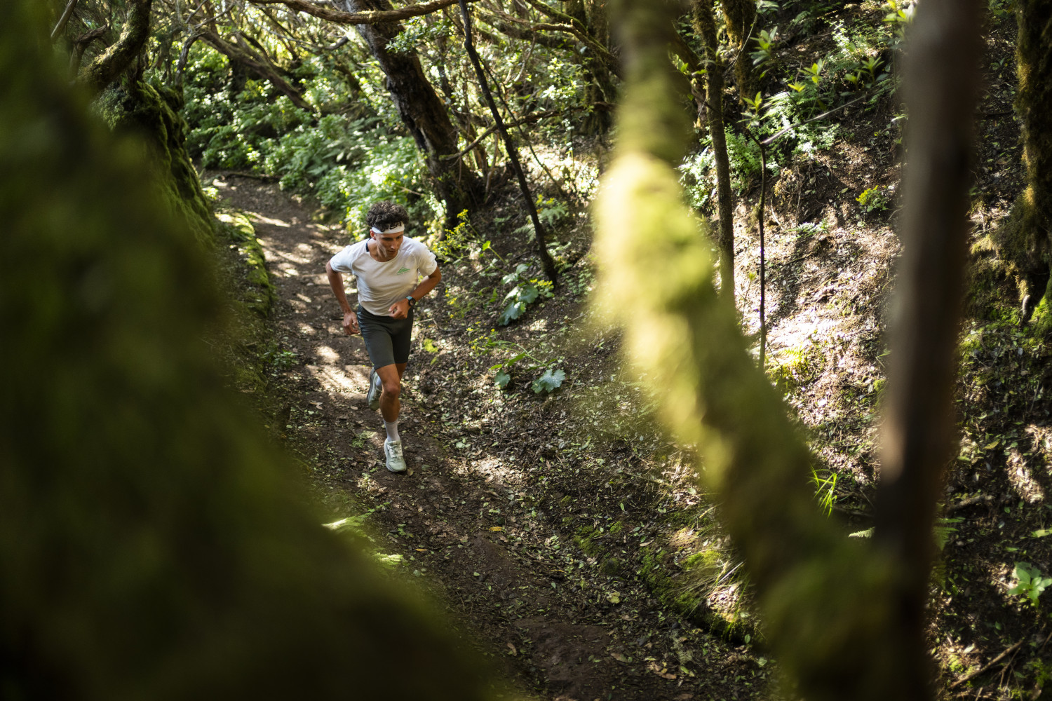 Person running along a forest trail in Tenerife.
