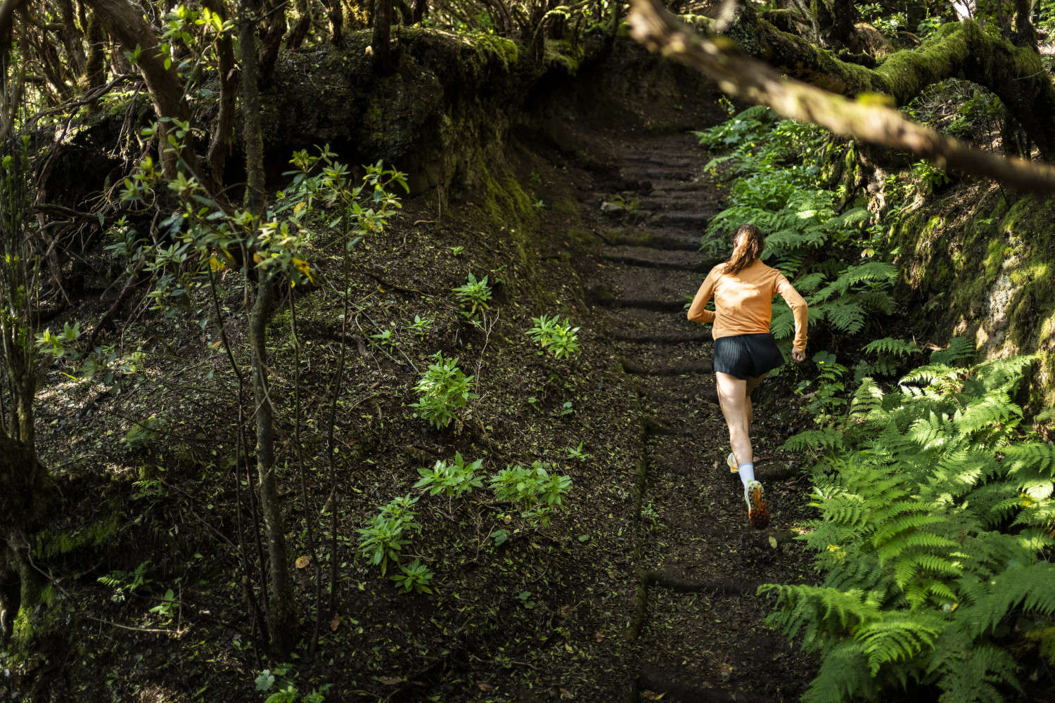 Person running along a wooded path in Tenerife.