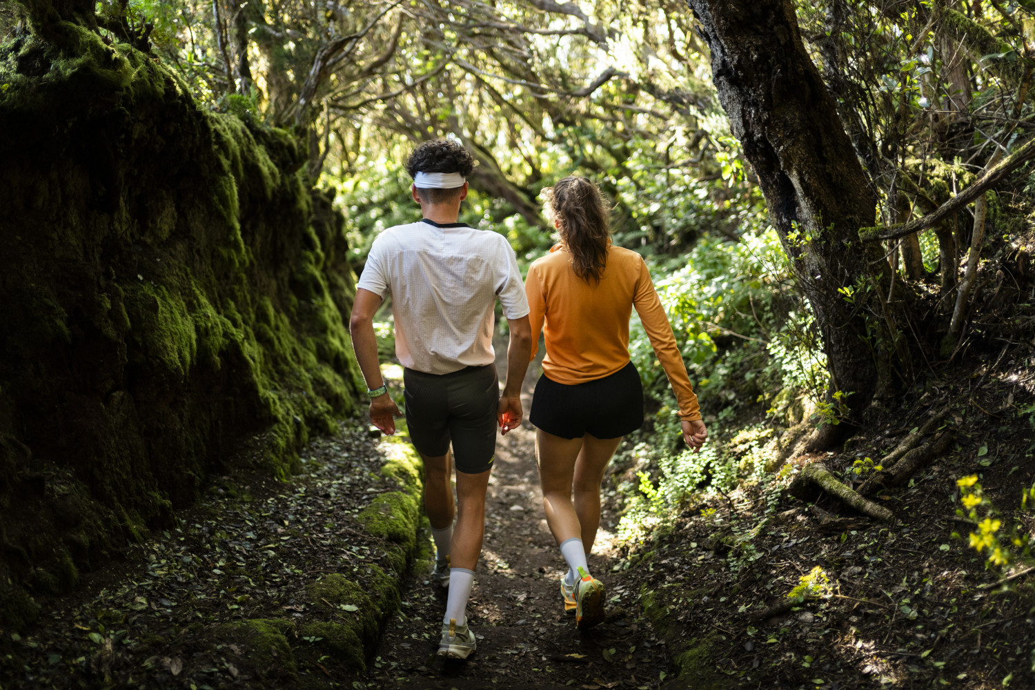 People walking along a path surrounded by greenery in Tenerife.