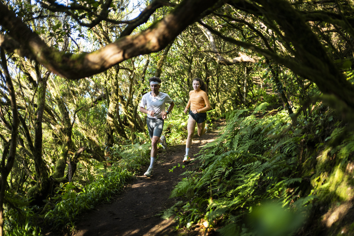 People running along a forest trail in Anaga, Tenerife.