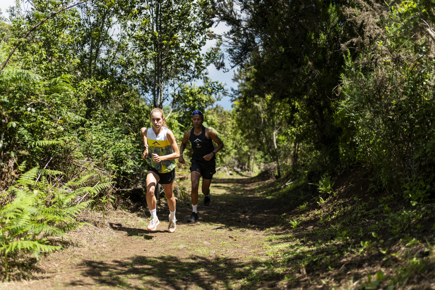 Runners on a trail surrounded by greenery in La Laguna, Tenerife.