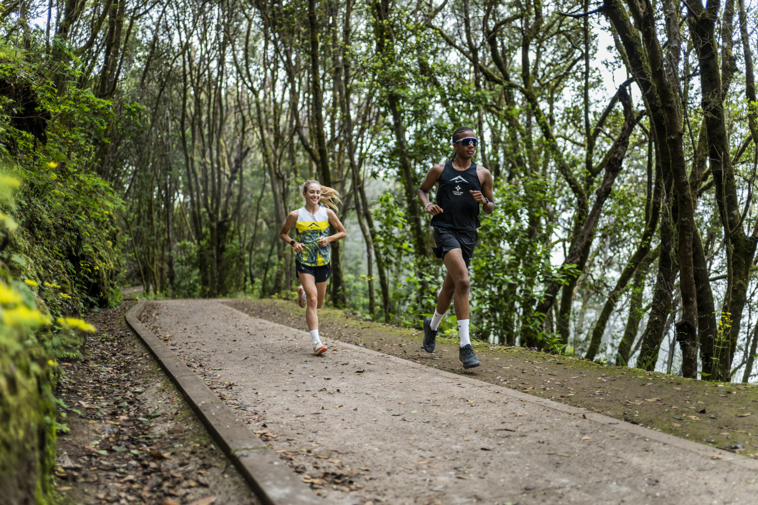 Runners on a path surrounded by trees in Tenerife.