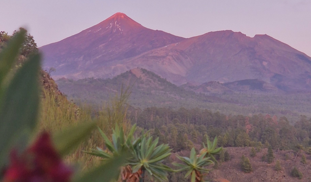 View of Mount Teide and natural landscape in Tenerife at sunset.