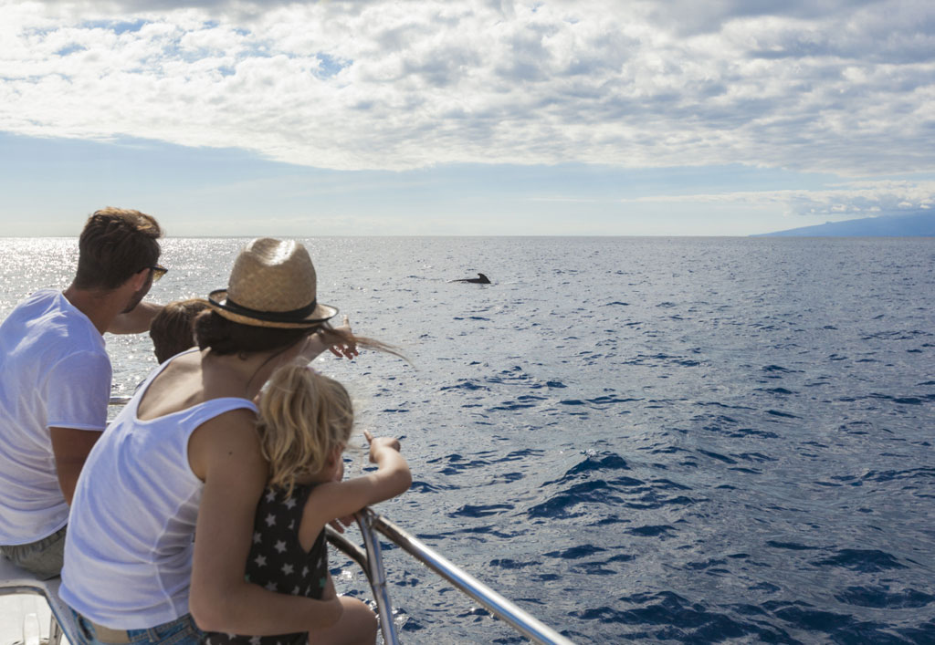 Family watching dolphins from a boat in Tenerife.