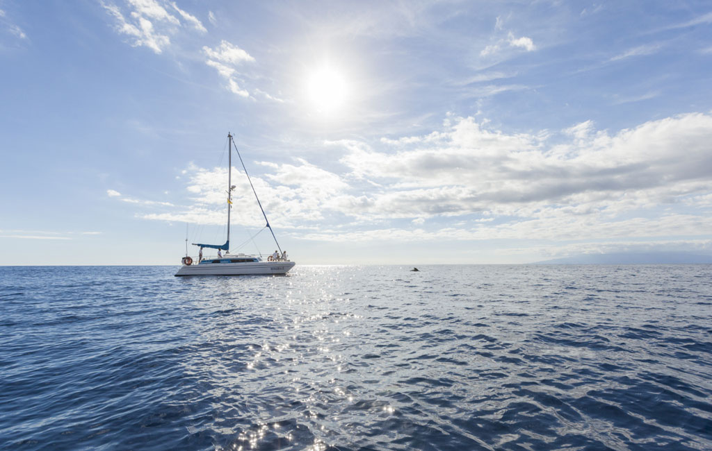 Sailboat sailing in the ocean under the sun near Tenerife.