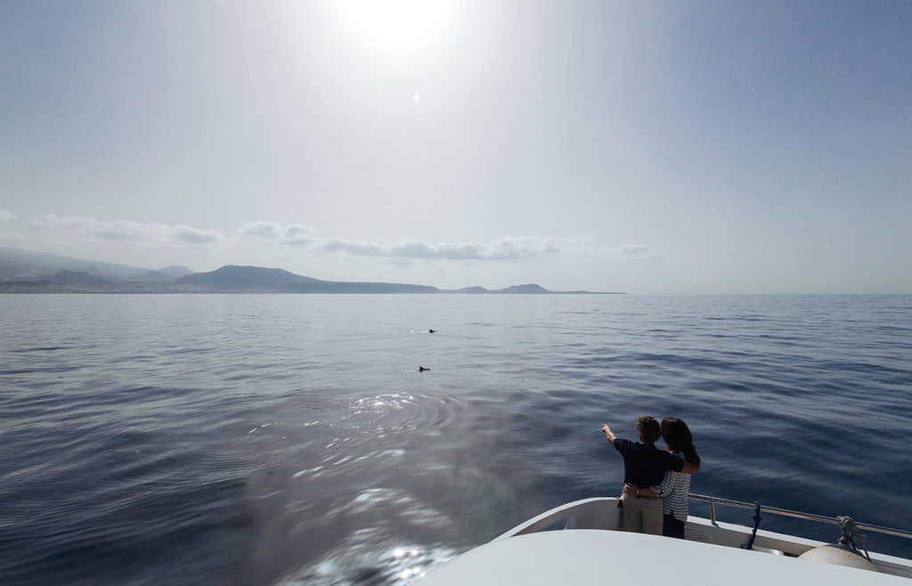 Couple on a boat watching the ocean and the coast of Tenerife in the background.