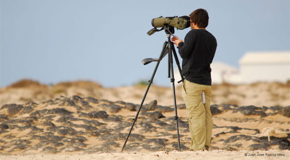 Observación de aves