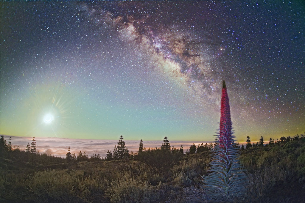 Starry sky over the landscape of Mount Teide in Tenerife.