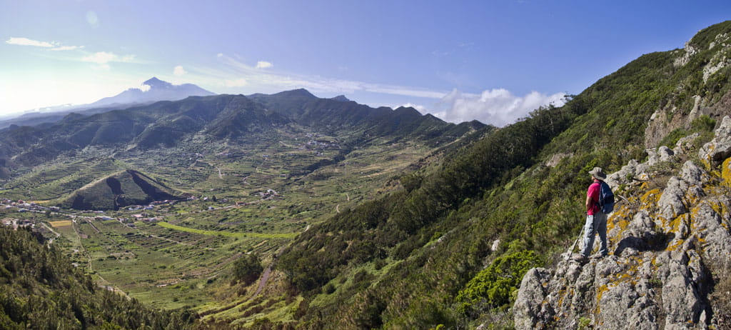 Person observing a mountainous valley in Tenerife, panoramic view of mountains and green fields.