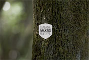 El compromiso de Tenerife Walking Festival: Huella 0
