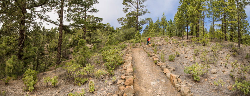 PR-TF 83.2 Camino de La Corredera