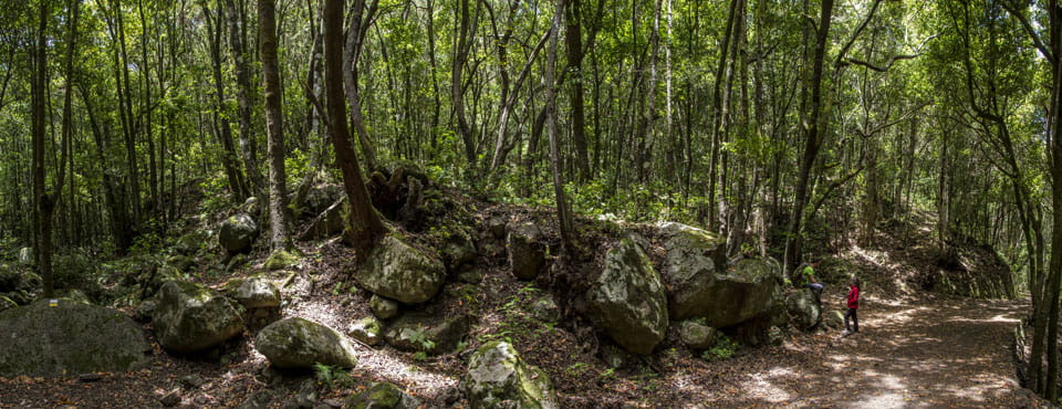 PR-TF 52 Erjos - Las Portelas (Monte del Agua)
