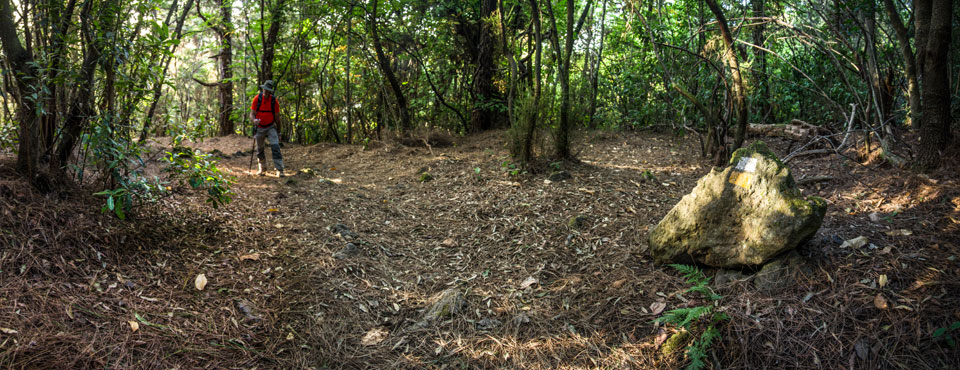 PR-TF 35.3 Llano de Los Corrales - Pinolere