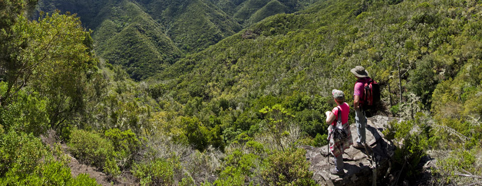 PR-TF 54 Los Silos - Las Moradas - Monte del Agua
