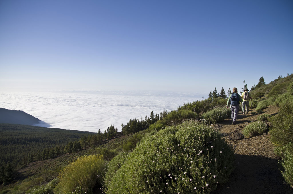 People walking along a path in the mountains of Tenerife overlooking a sea of clouds.