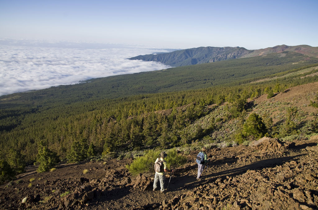 Hikers on a mountainous path with views of the forest and clouds in Tenerife.