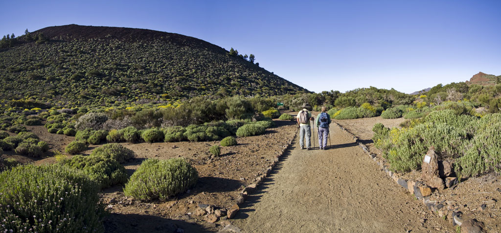 People walking on a trail surrounded by greenery on El Teide, Tenerife.