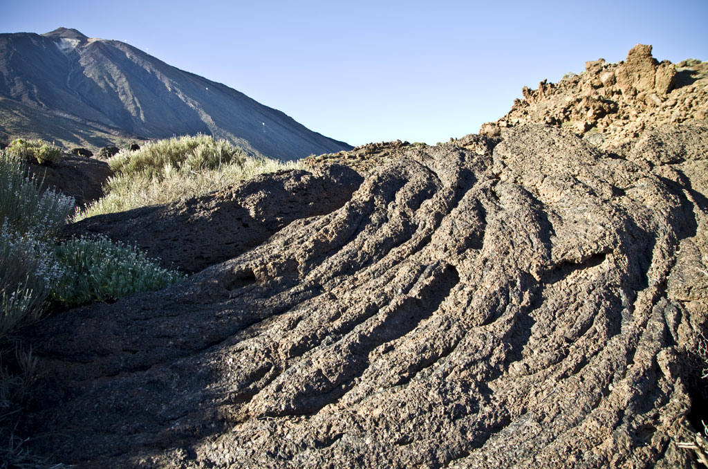 Lava formation and vegetation in the Teide National Park, Tenerife.