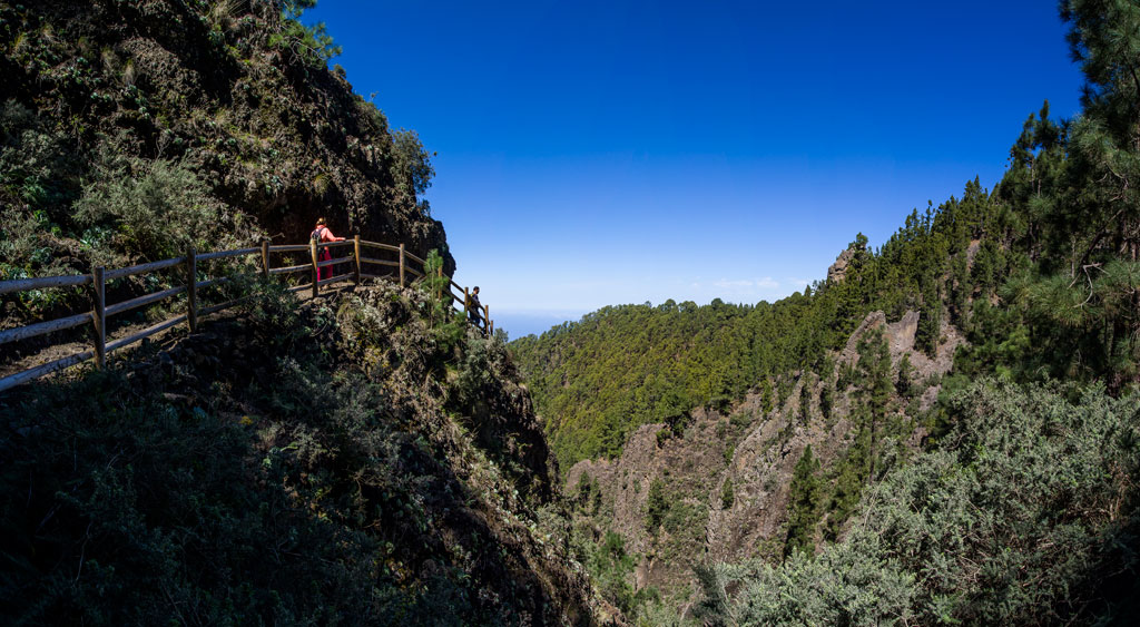 Mountainous trail surrounded by greenery and views of the blue sky in Tenerife.