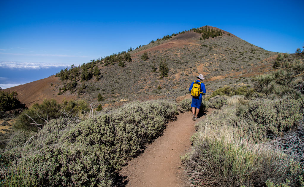 Person walking along a trail in Teide National Park, Tenerife.