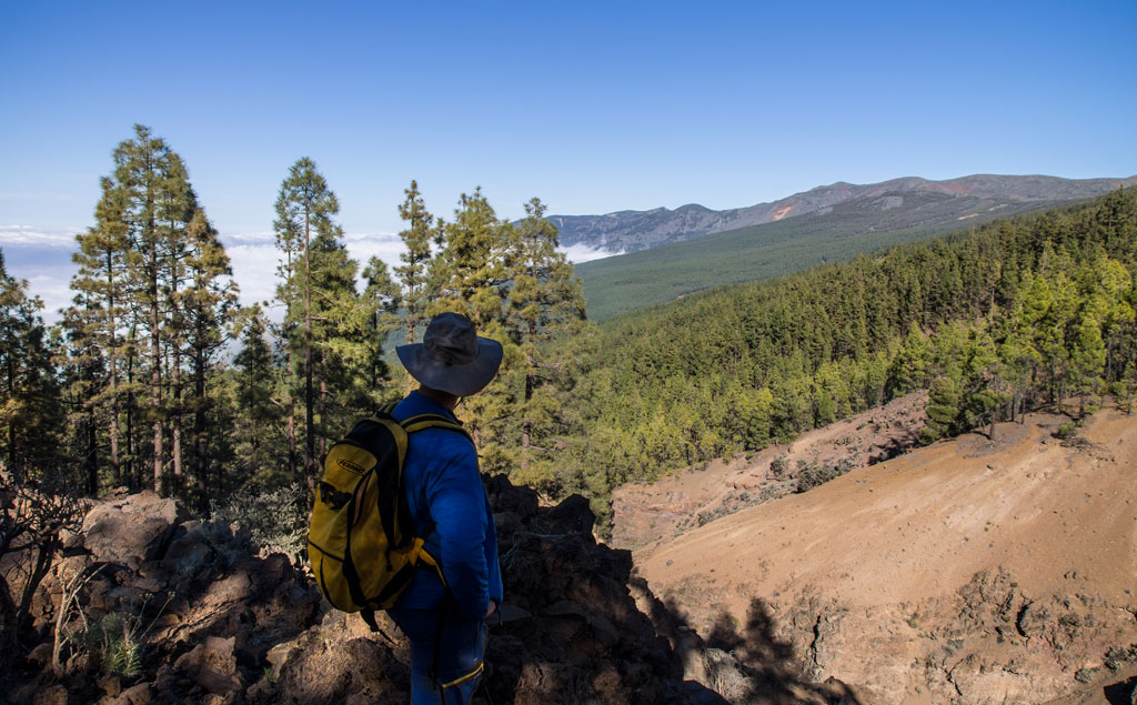 Person with backpack looking at mountainous landscape and pine forest in Tenerife.