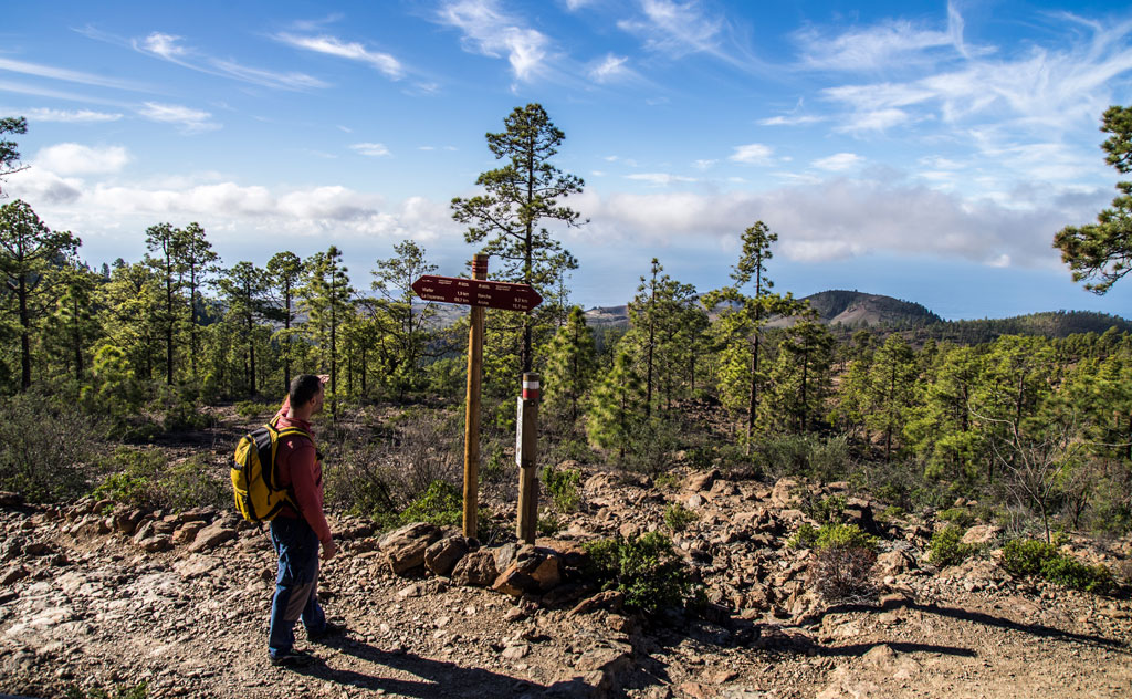 Man with a backpack looks at signs on a pine path in Tenerife.