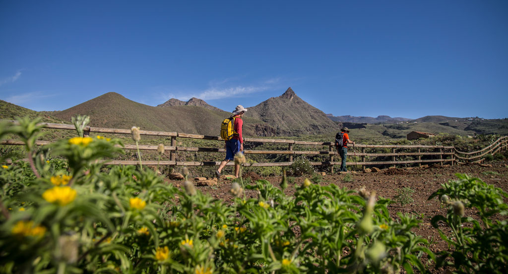 Hikers walking on a trail near the mountains of the rural landscape in Tenerife.
