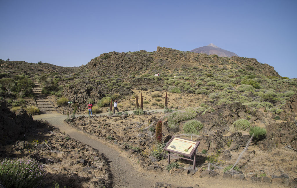 Trail in the Teide National Park, Tenerife, with volcanic landscape and mountain in the background.